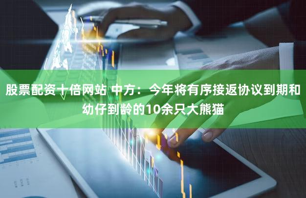 股票配资十倍网站 中方：今年将有序接返协议到期和幼仔到龄的10余只大熊猫