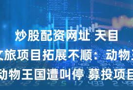 炒股配资网址 天目湖多个文旅项目拓展不顺：动物王国遭叫停 募投项目已延期