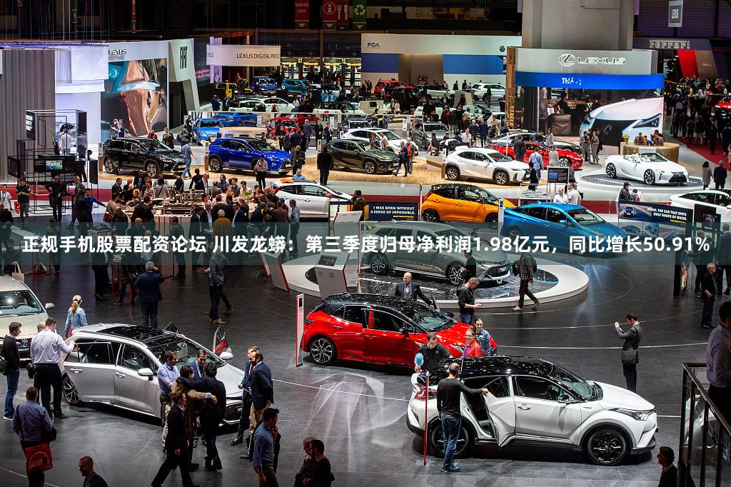 正规手机股票配资论坛 川发龙蟒：第三季度归母净利润1.98亿元，同比增长50.91%