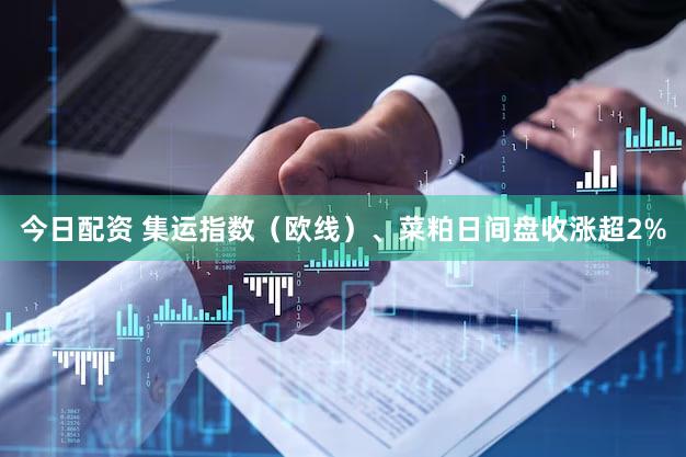 今日配资 集运指数（欧线）、菜粕日间盘收涨超2%