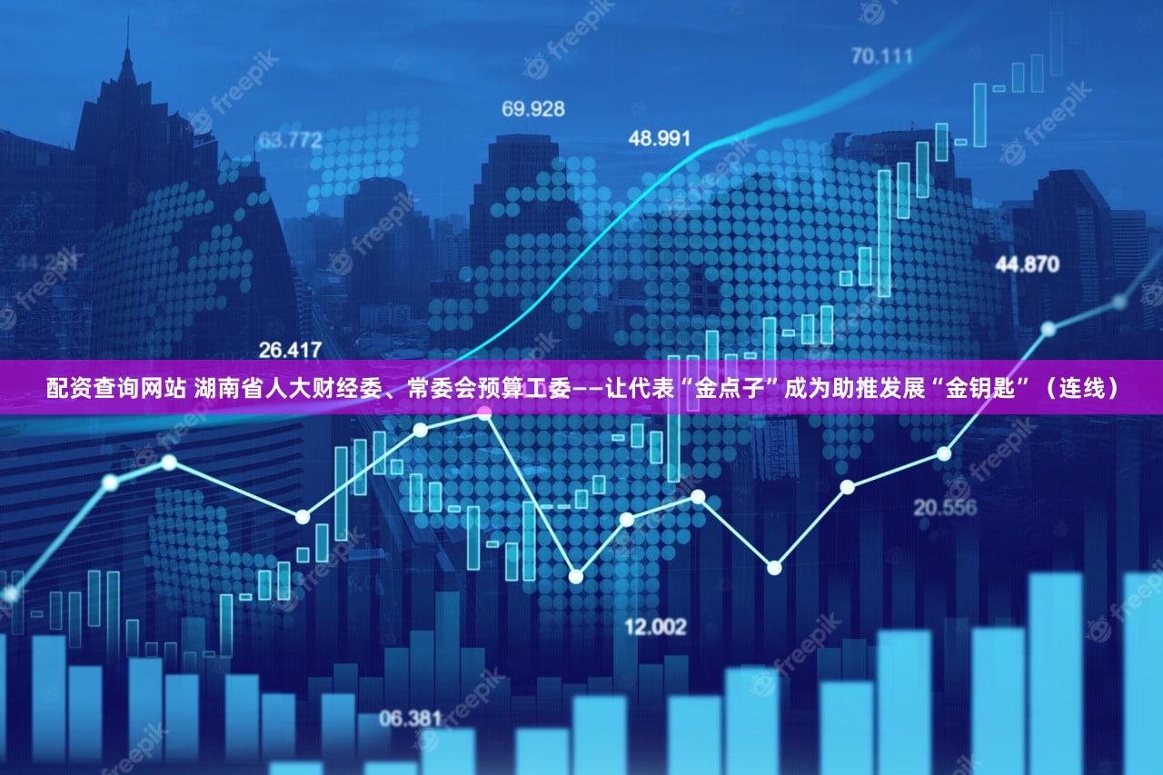 配资查询网站 湖南省人大财经委、常委会预算工委——让代表“金点子”成为助推发展“金钥匙”(连线)