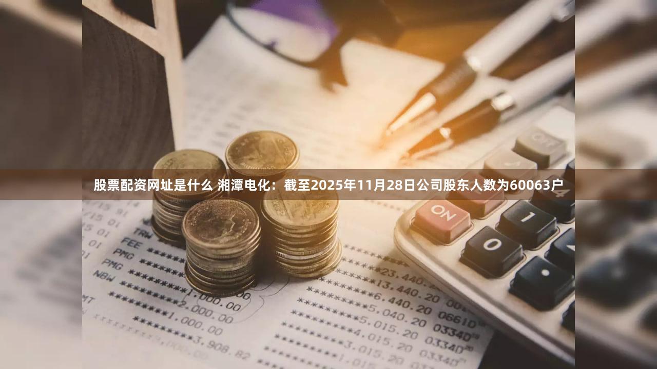 股票配资网址是什么 湘潭电化：截至2025年11月28日公司股东人数为60063户