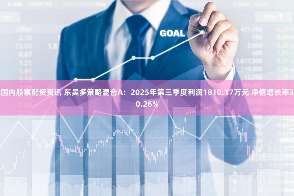 国内股票配资资讯 东吴多策略混合A：2025年第三季度利润1810.17万元 净值增长率30.26%