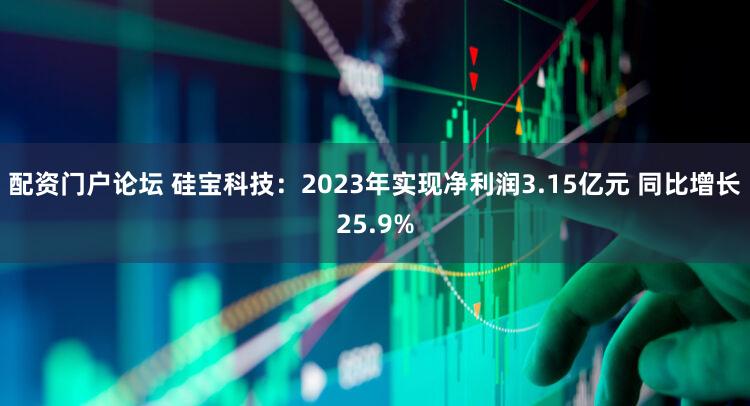 配资门户论坛 硅宝科技：2023年实现净利润3.15亿元 同比增长25.9%