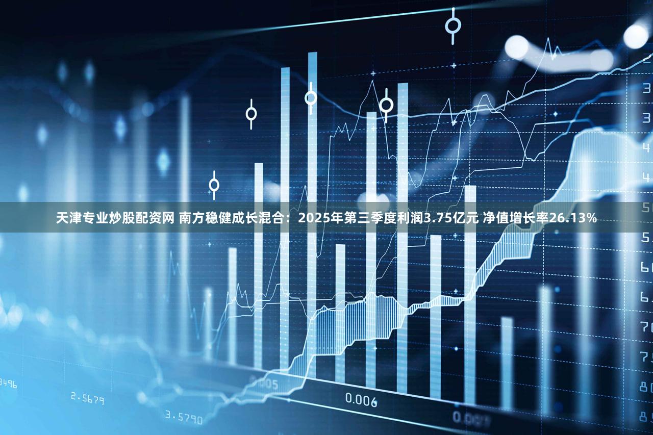 天津专业炒股配资网 南方稳健成长混合:2025年第三季度利润3.75亿元 净值增长率26.13%