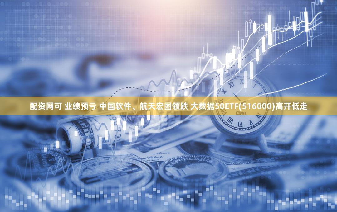 配资网可 业绩预亏 中国软件、航天宏图领跌 大数据50ETF(516000)高开低走