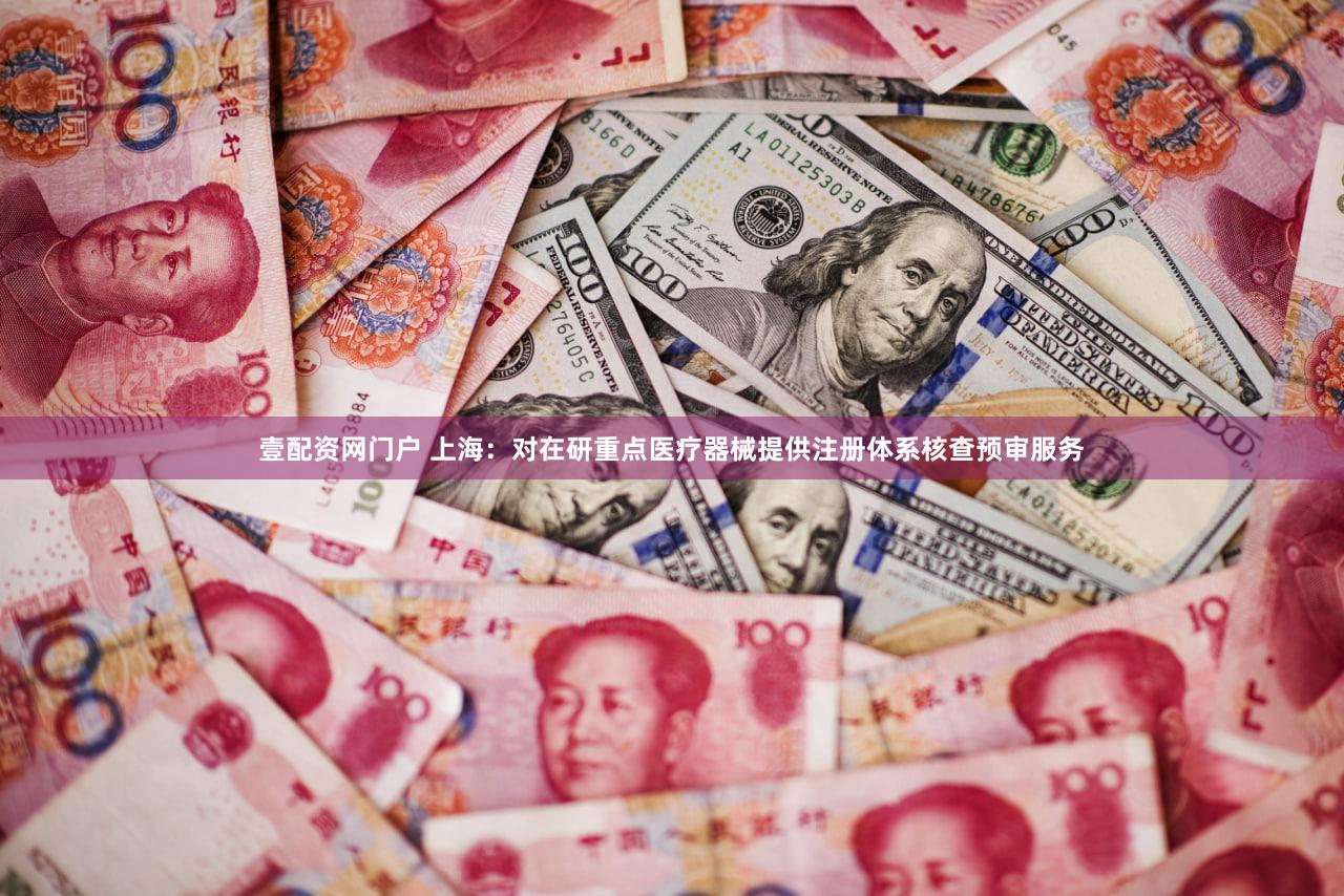 壹配资网门户 上海：对在研重点医疗器械提供注册体系核查预审服务