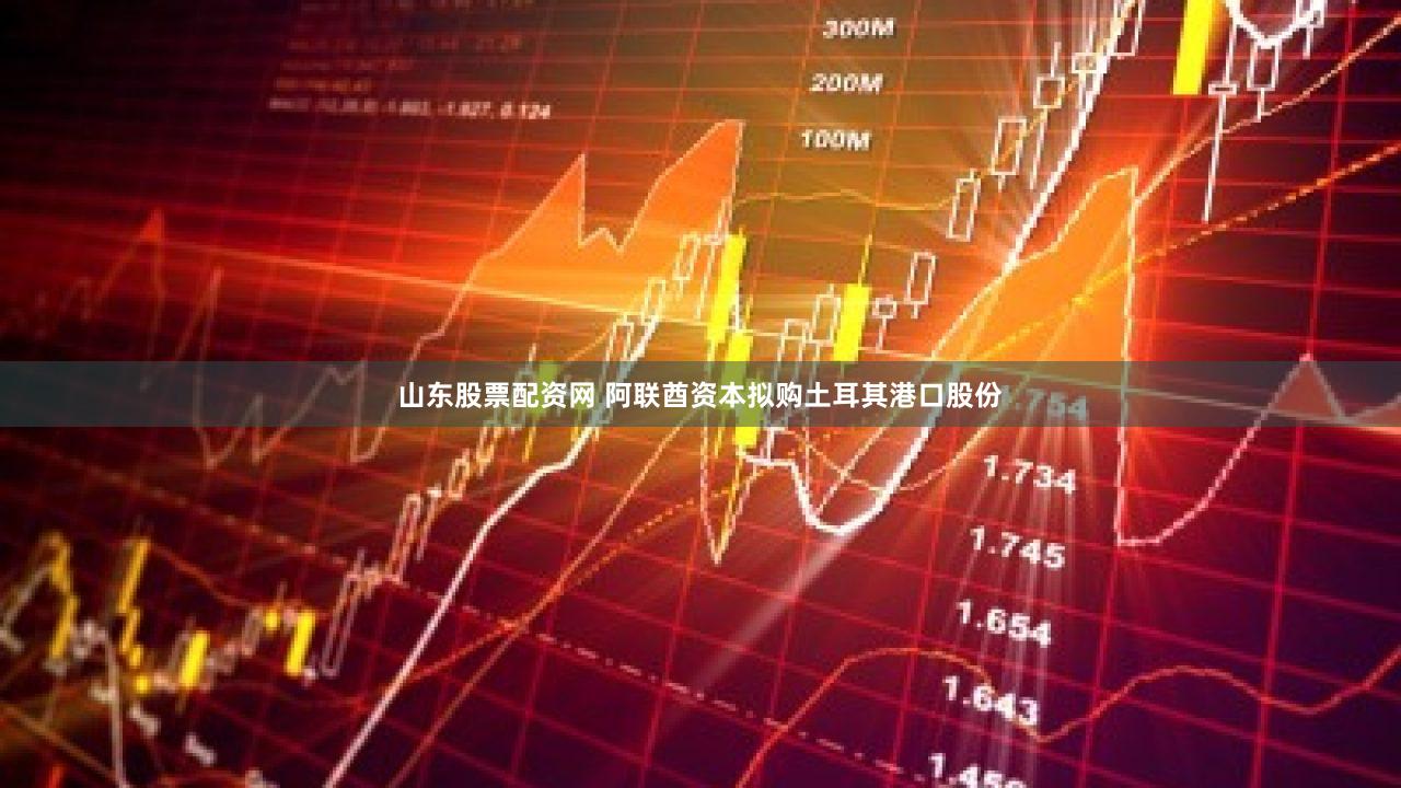 山东股票配资网 阿联酋资本拟购土耳其港口股份